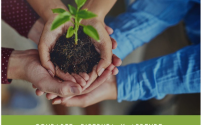 Villarrobledo Amable